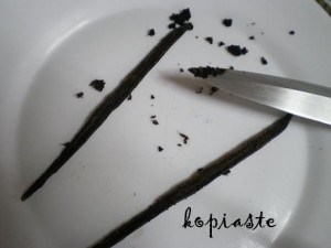 vanilla