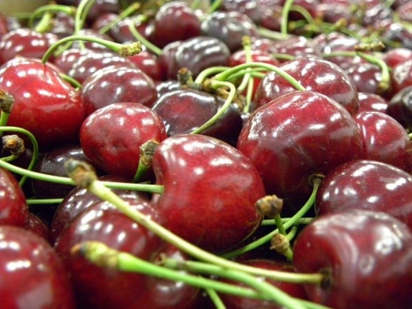 Cherries