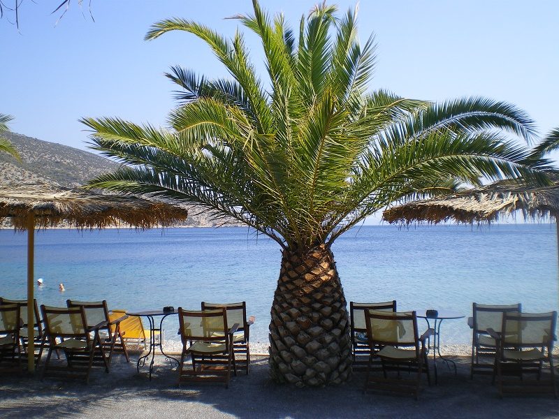 &Eta; &pi;&alpha;&rho;&alpha;&lambda;ί&alpha; &sigma;&tau;&omicron; &Sigma;&alpha;&rho;ά&nu;&tau;&eta; &epsilon;&iota;&kappa;ό&nu;&alpha;