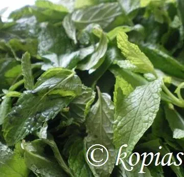 Πώς αποξηραίνουμε δυόσμο και άλλα αρωματικά φυτά