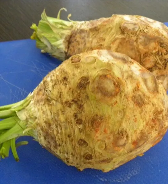 Σελινόριζα: Πώς θα την καθαρίσουμε και πώς να τη χρησιμοποιήσουμε