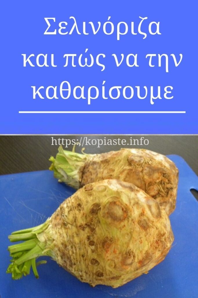 Κολάζ σελινόριζα και πώς να την καθαρίσουμε εικόνα