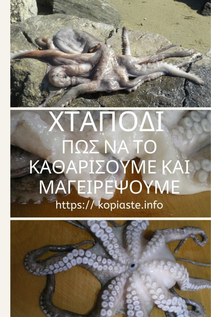 Κολάζ χταπόδι πώς να το καθαρίσουμε εικόνα