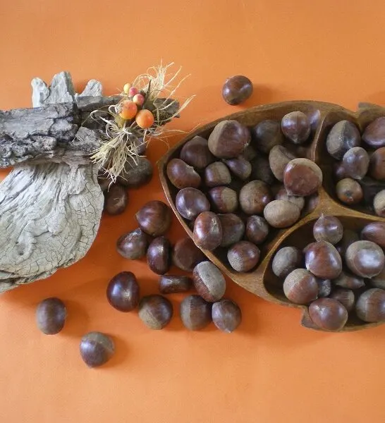 Πώς Βράζουμε και Ξεφλουδίζουμε τα Κάστανα