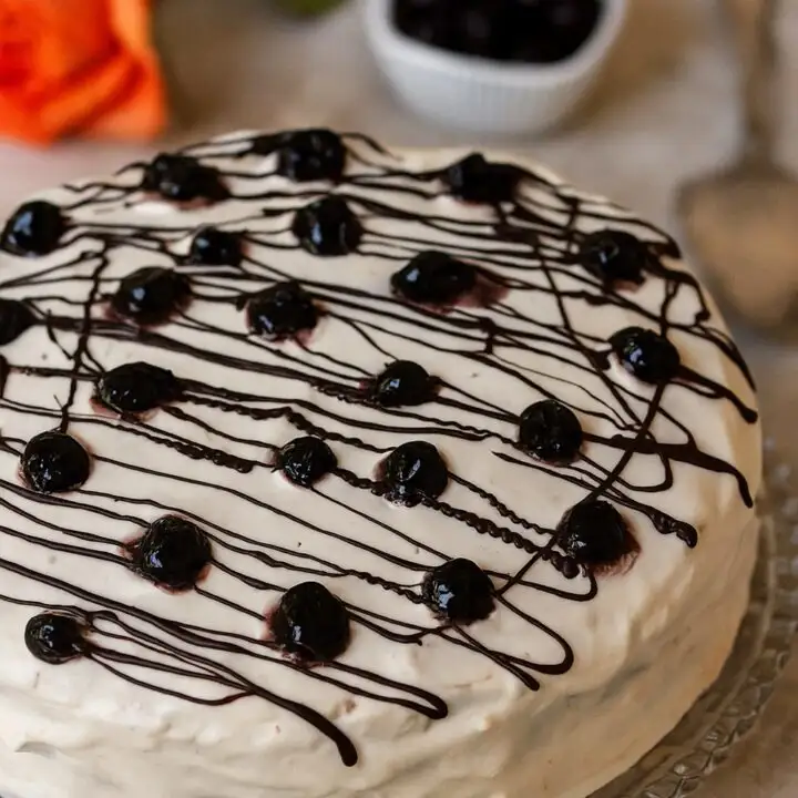 &Tau;&omicron;ύ&rho;&tau;&alpha; &Gamma;&epsilon;&nu;&epsilon;&theta;&lambda;ί&omega;&nu; &mu;&epsilon; &Sigma;&omicron;&kappa;&omicron;&lambda;ά&tau;&alpha; &kappa;&alpha;&iota; &Beta;ύ&sigma;&sigma;&iota;&nu;&omicron; &epsilon;&iota;&kappa;ό&nu;&alpha;