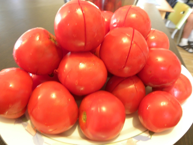 Φρέσκες ντομάτες για καγιανά εικόνα