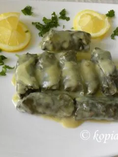 Ντολμαδάκια γιαλαντζί στο πιάτο με φέτες λεμονιού εικόνα