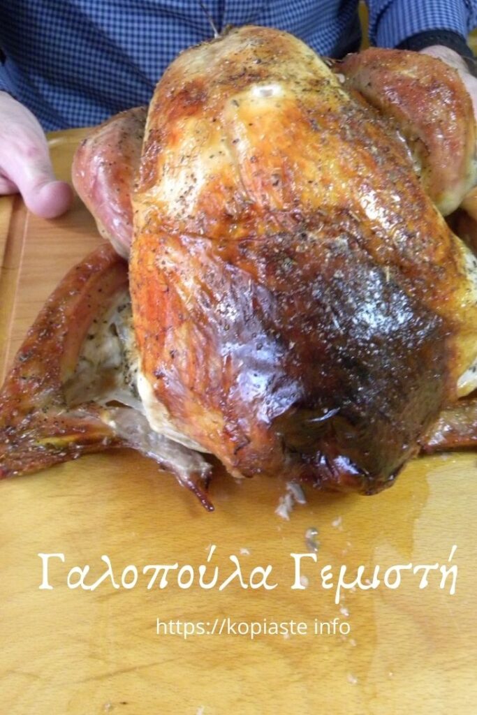 Κολάζ Γαλοπούλα Γεμιστή εικόνα