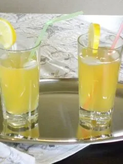 Δυό ποτήρια λεμονάδα σε δίσκο εικόνα