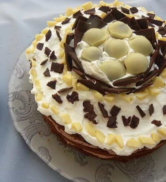 &Tau;&omicron;ύ&rho;&tau;&alpha; &Phi;&omega;&lambda;&iota;ά &tau;&omicron;&upsilon; &Kappa;&omicron;ύ&kappa;&omicron;&upsilon;