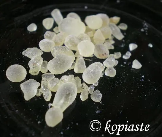 Πώς θα Φτιάξουμε Σκόνη Μαστίχας