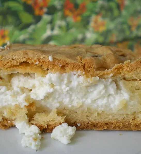 &Tau;&upsilon;&rho;ό&pi;&iota;&tau;&alpha; &kappa;&alpha;&iota; &Tau;&upsilon;&rho;&omicron;&pi;&iota;&tau;ά&kappa;&iota;&alpha;, &mu;&epsilon; &phi;ύ&lambda;&lambda;&omicron; &kappa;&omicron;&upsilon;&rho;&omicron;ύ