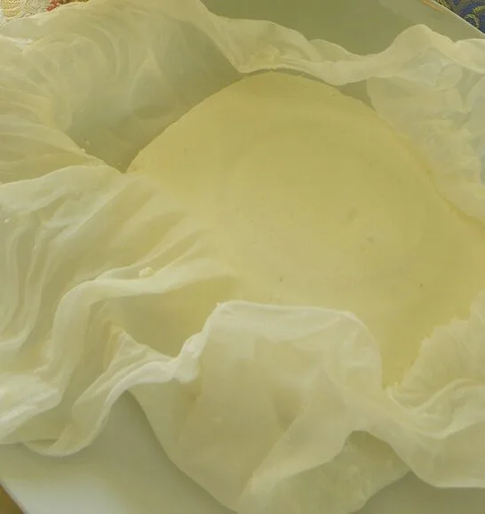 Σπιτικό Ινδικό τυρί Πανήρ