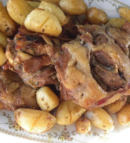 Αγριογούρουνο στη Γάστρα