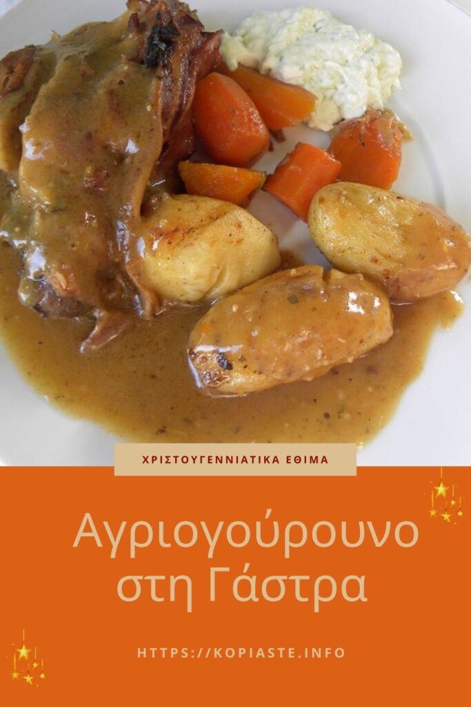 Κολάζ Αγριογούρουνο στη Γάστρα εικόνα