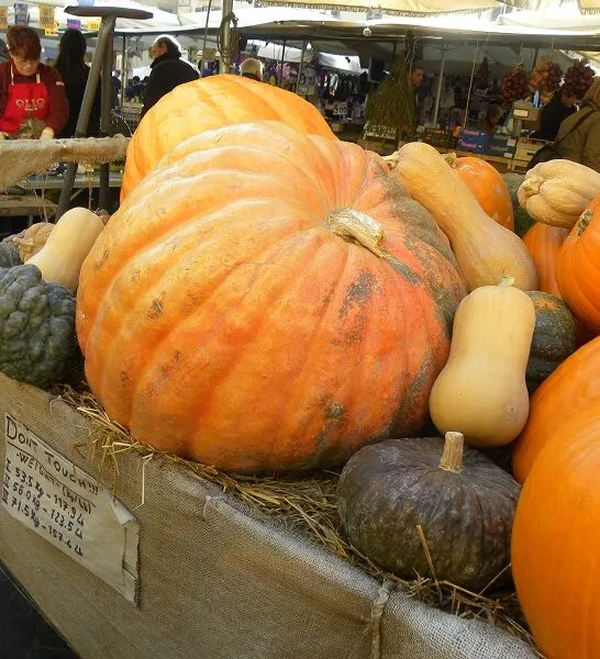 Συνταγές με Γλυκοκολοκύθα