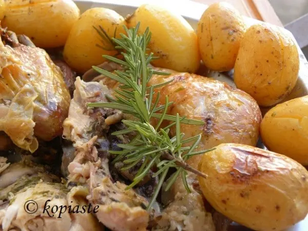 Kotopoulo me Dendrolivano2