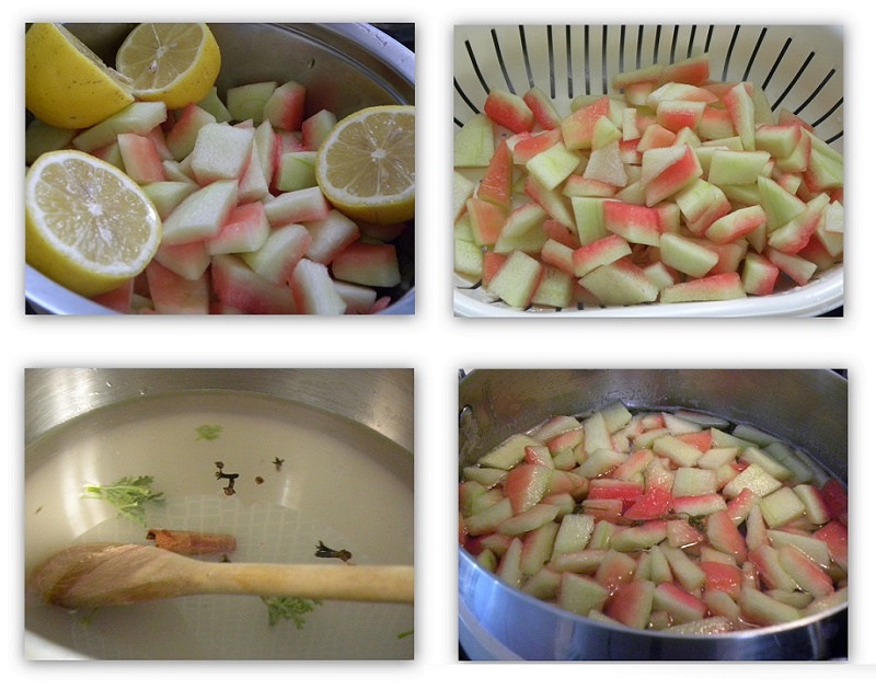 Κολάζ προετοιμασία γλυκού καρπούζι εικόνα