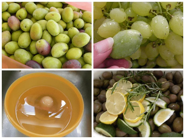 Collage curing olives