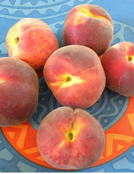 5 συνταγές με Ροδάκινα και Βερίκοκα