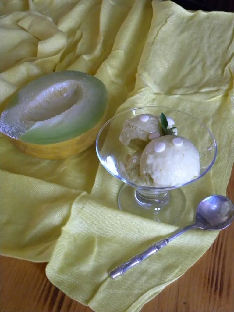 Πεπόνι και λεμόνι παγωμένο γιαούρτι εικόνα
