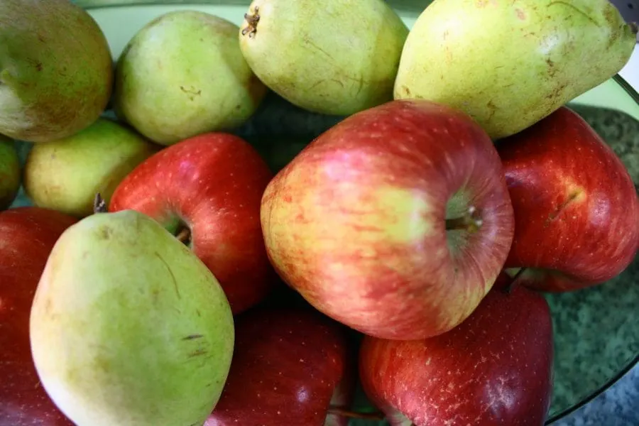 Μήλα και αχλάδια βουτύρου εικόνα