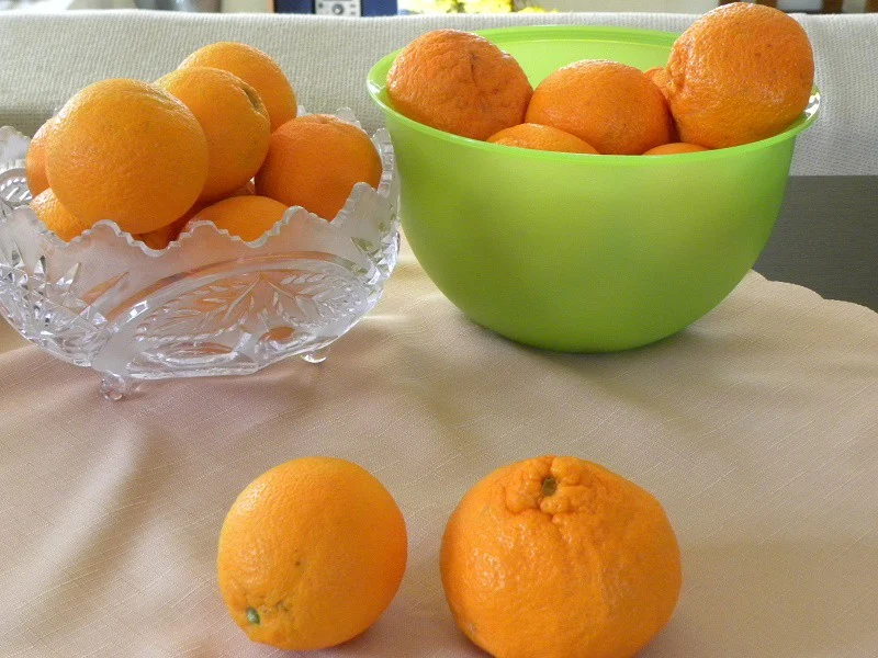Μανταρίνια και Πορτοκάλια εικόνα
