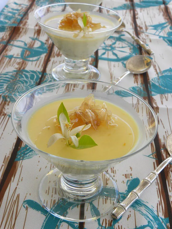 Πανακότα με Ανθός Νεραντζιάς εικόνα