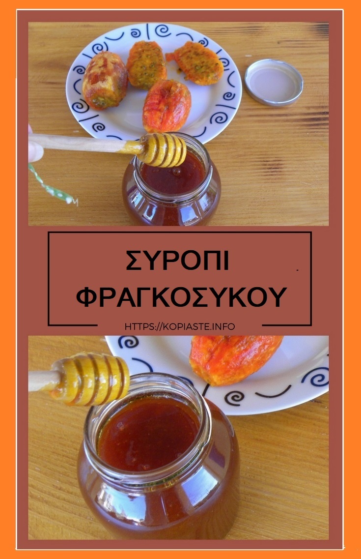Κολάζ συρόπι φραγκόσυκου εικόνα