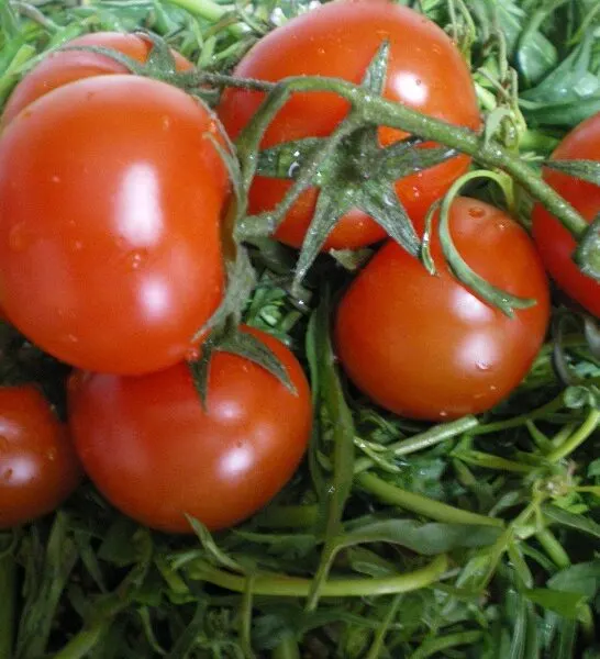 Πώς Αποφλοιώνουμε Εύκολα τις Ντομάτες