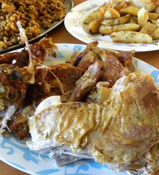 &Nu;ό&sigma;&tau;&iota;&mu;&omicron; &Gamma;&epsilon;&mu;&iota;&sigma;&tau;ό &Kappa;&alpha;&tau;&sigma;&iota;&kappa;ά&kappa;&iota; (ή &Alpha;&rho;&nu;ί)