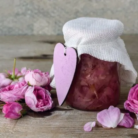 &Mu;&alpha;&rho;&mu;&epsilon;&lambda;ά&delta;&alpha; &mu;&epsilon; &Rho;&omicron;&delta;&omicron;&pi;έ&tau;&alpha;&lambda;&alpha; &epsilon;&iota;&kappa;ό&nu;&alpha;