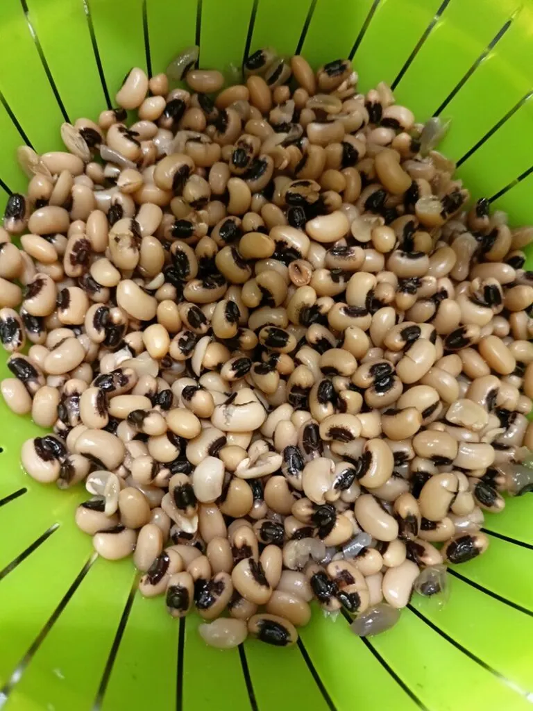 Βρασμένα φασόλια Μαυρομμάτικα εικόνα