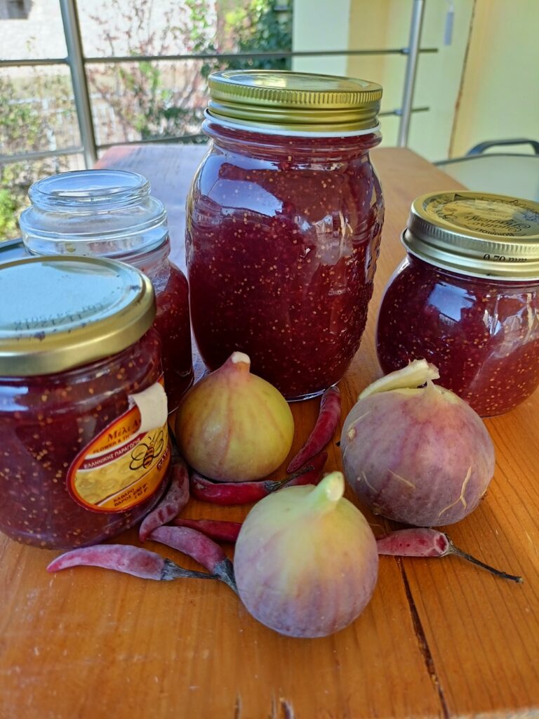 Πικάντικη μαρμελάδα σύκου εικόνα