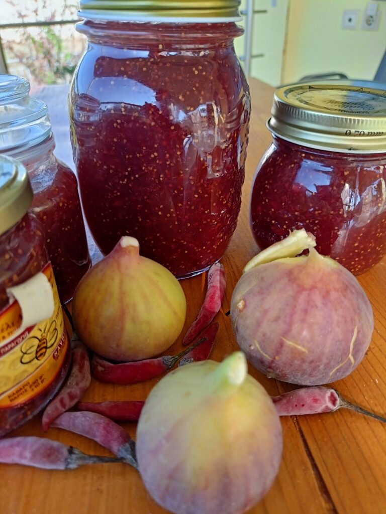 Πικάντικη μαρμελάδα σύκου φωτογραφία